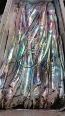 오늘 2자리 공석 29일 철수 통영갈치 신세계호 조황정보