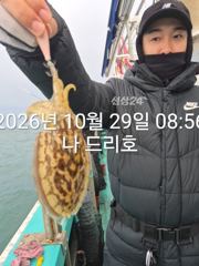 내만 갈치 씨알이가 짱입니당~~(일욜부터 예약 가능)