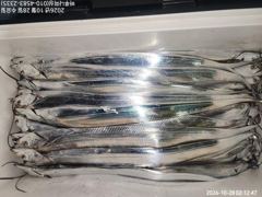 내만갈치.사이즈 좋고ㅡ마리수 되고ㅡ