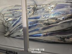 10월29일입항 대갈치 조황소식입니다