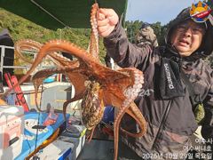 29일 돌문어 키로급 다수 마릿수도 괜찮았습니다