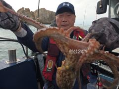 29일 문어 출조 다녀왓습니다
