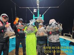 [진해] 내만 문어 바닥권 여밭권 묵직한 손맛 토요일 오전 예약가능