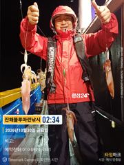 준내만갈치/한치)오늘은 한치가 대박입니다(예약가능)