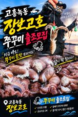 사리물때 점점좋아지는 녹동돌문어