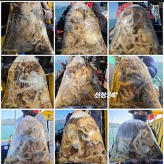 [사천] 다래호 대왕쭈꾸미 쫙 쫙 달라붙습니다 즐낚하러오세요 월요일부터 …