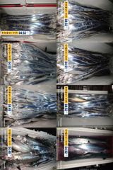 긴급 통영 보성호 먼바다 갈치 내일 8자리가능 합니다~~~2시출조합니다