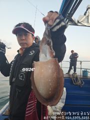[군산아시아호] 갑오징어 조황 10/30