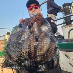 10/30 오천항 샤크호 갑오징어사냥 ~