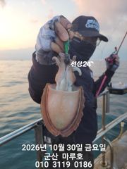 ★★ 10 / 30 [군산 대일피싱] 마루호 갑오징어 굿조황~! 내일 여유자리 있습니다.