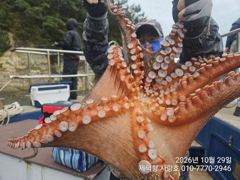 [진해] "돌문어"2600g1500g1400g1300g1200g1200g…