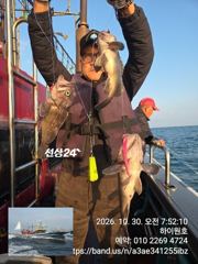 30일, 가을 먼침선,어초~개우럭~예외 없이 날이면 날마다 굿~ 쿨러 대박 조황~군산낚시프라자 하이원호