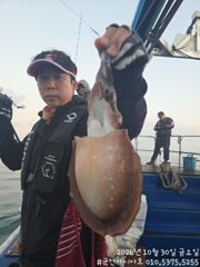 [군산아시아호] 갑오징어 굿조황 10/30