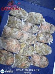 [진해] 30일(야간문어) 토.일.월.예약가능 마릿수쭉쭉 중치급퍽퍽