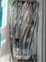 30일 신아라호 준내만 텐빈 갈치조황