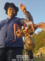 통영 송현호))킬로 사이즈 돌문어 실시간 마구 마구 히트!