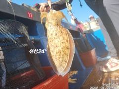 [여수뉴피닉스호] 월,화 (2일/3일) ㅡ 왕주꾸미출조 자리많습니다. 황제낚시가능 010 7178 3800