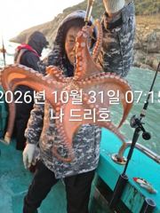 31일, 군산 덩치급 문어~오늘도 스타트~실시간~매일출조~군산낚시프라자 나드리호