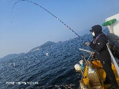 감성돔 흘림 4짜전후로 25여수