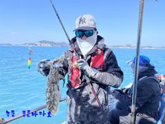 녹동 푸른바다호 10월 31일 문어 조항 알려 드립니다.