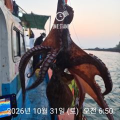 암초 포인트 문어 낚시