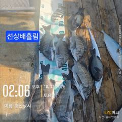 [고성] 병산 감성돔45외 마리수 선상배 &감성돔4짜외 마리수선외기흘림