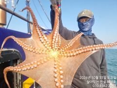 [여수,광양] 전설해태호> 10월 마지막날 덩어리 돌문어들 ,,,,